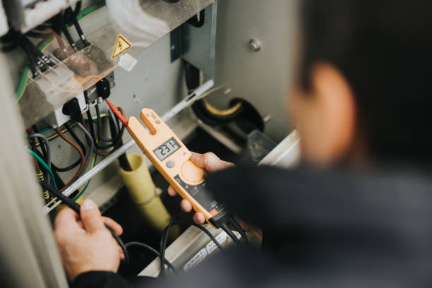 Best Electrician for Home Renovation  in Napoleon, OH